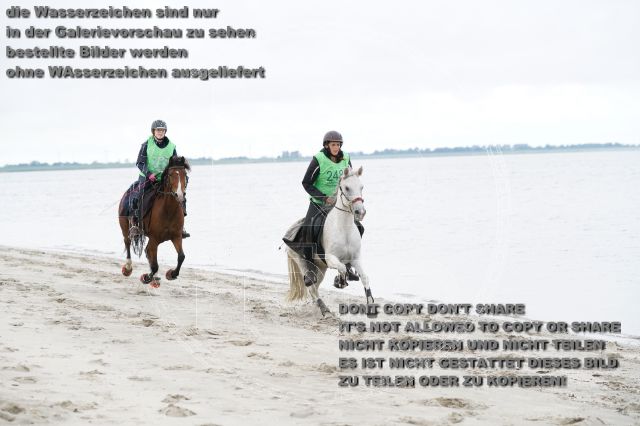 s_K3F04826.JPG